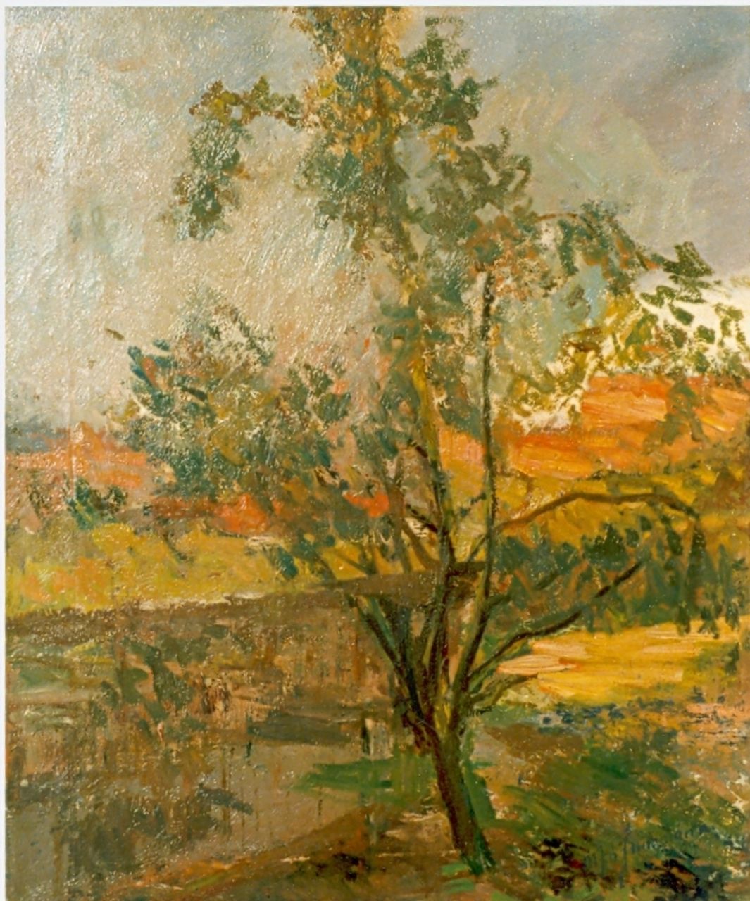 Jungmann M.J.B.  | 'Maarten' Johannes Balthasar Jungmann, Impressie van een boom aan het water, olieverf op doek 57,3 x 48,0 cm, gesigneerd rechtsonder