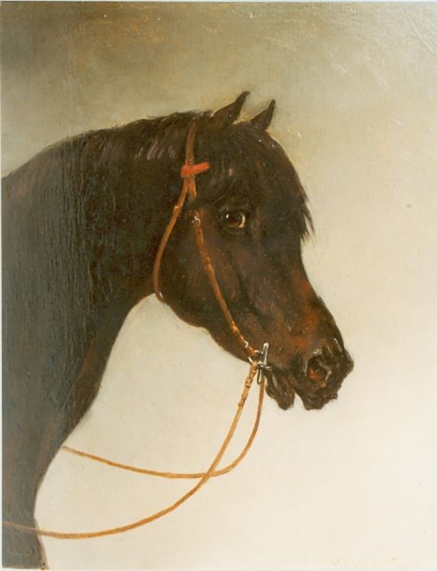 Verschuur jr. W.  | Paardenhoofd, olieverf op paneel 23,5 x 19,5 cm, gesigneerd r.o.