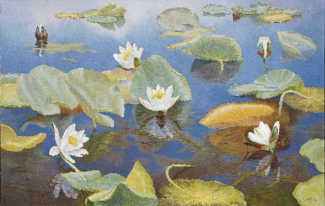Smorenberg D.  | Waterlelies, olieverf op doek 64,8 x 100,3 cm, gesigneerd r.o.