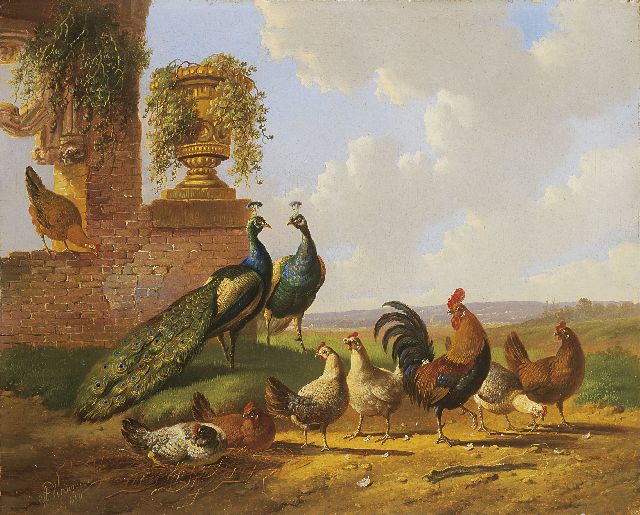 Verhoesen A.  | Pauwen en pluimvee bij een ruïne, olieverf op paneel 30,3 x 37,5 cm, gesigneerd l.o. en gedateerd 1870
