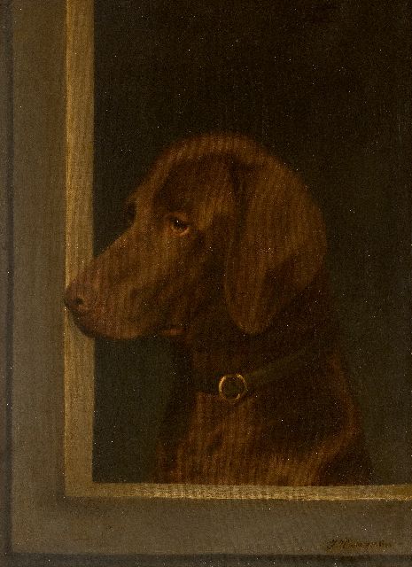 Hamburger J.  | Portret van een jachthond, naar links kijkend, olieverf op doek 52,6 x 42,5 cm, gesigneerd r.o. en gedateerd 1883