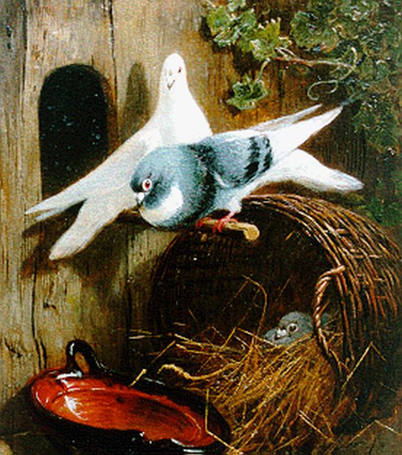 Ronner-Knip H.  | Drie duiven bij een mand, olieverf op paneel 19,4 x 15,8 cm, gesigneerd r.o.