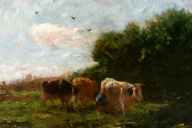 Maris W.  | Koeien in de weide, olieverf op doek 43,2 x 53,0 cm, gesigneerd l.o.