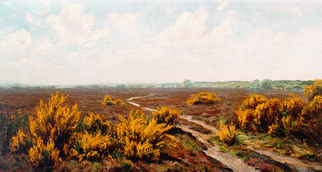 Meijer J.  | Heidelandschap met bloeiende brem, olieverf op doek 44,5 x 84,0 cm, gesigneerd l.o.