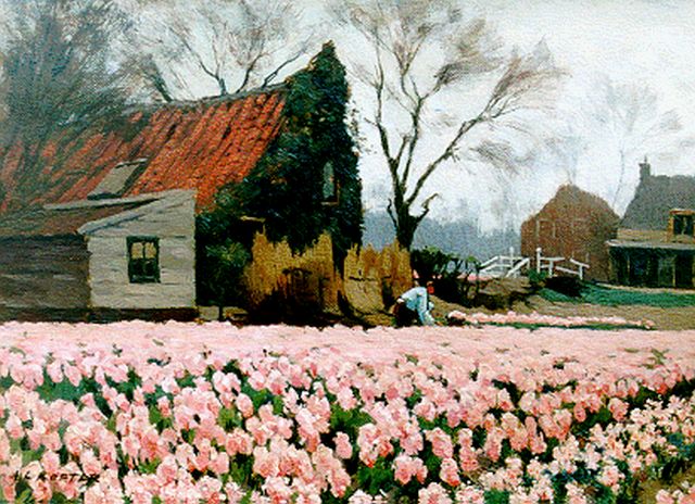 Koster A.L.  | Tulpenveld bij de Glip in Heemstede, olieverf op doek 32,5 x 43,5 cm, gesigneerd l.o.