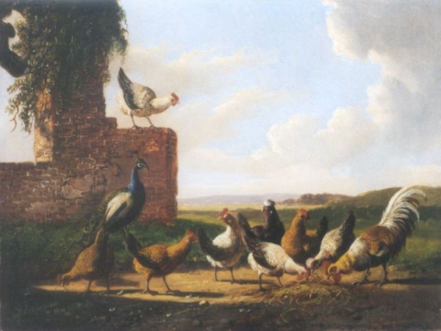Verhoesen A.  | Haan, kippen en een pauw bij een ruïne, olieverf op paneel 18,1 x 23,8 cm, gesigneerd l.o. en gedateerd 1874