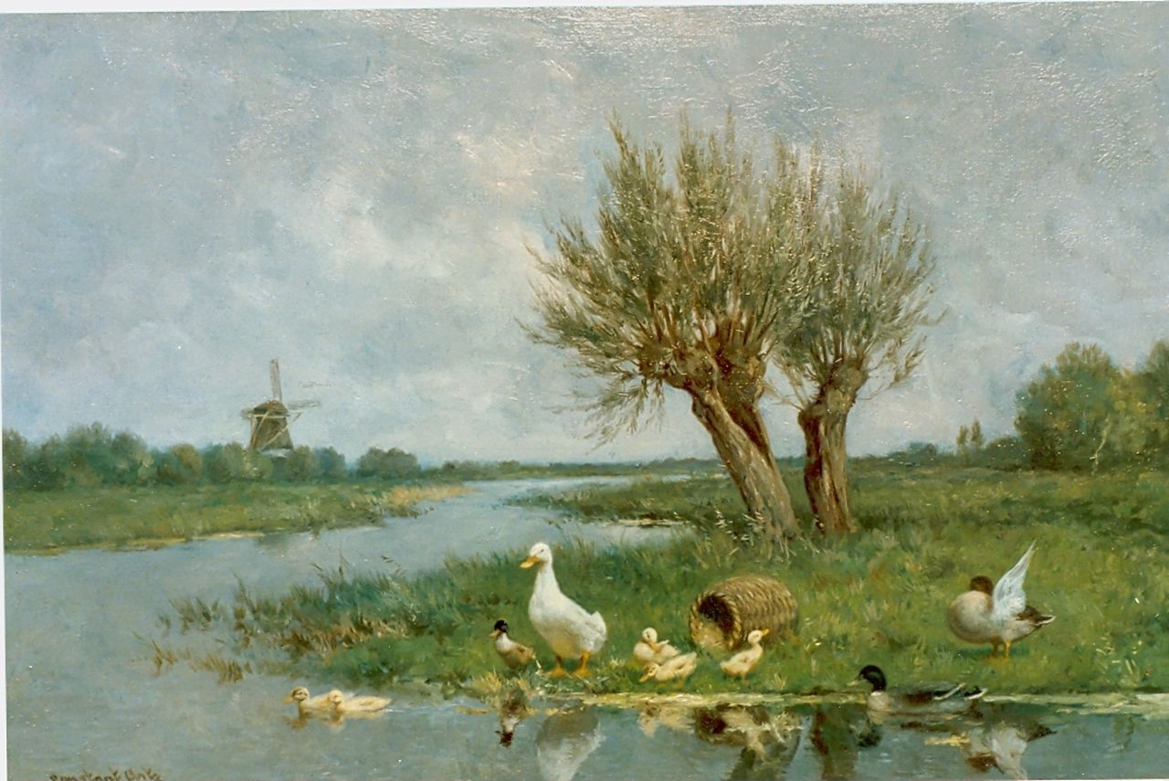 Artz C.D.L.  | 'Constant' David Ludovic Artz, Ducks on the riverbank, Öl auf Leinwand 40,7 x 60,5 cm, signed l.l.