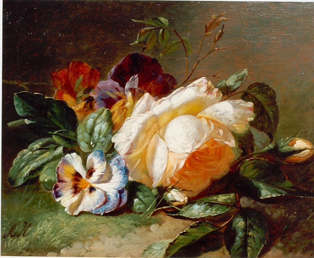 Haanen A.J.  | Adriana Johanna Haanen, White rose and violets, Öl auf Holz 19,6 x 24,7 cm, signed l.l.