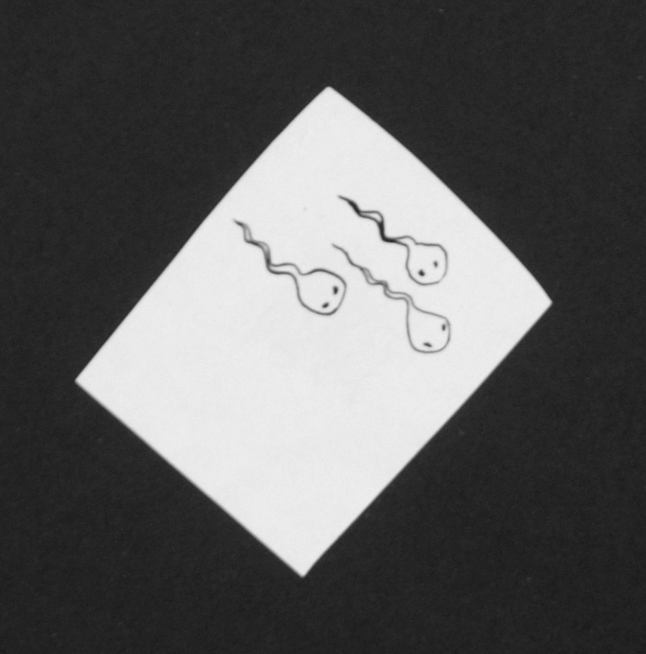 Oranje-Nassau (Prinses Beatrix) B.W.A. van | Beatrix Wilhelmina Armgard van Oranje-Nassau (Prinses Beatrix), Three tadpoles, Bleistift und Ausziehtusche auf Papier 5,2 x 4,1 cm, executed August 1960