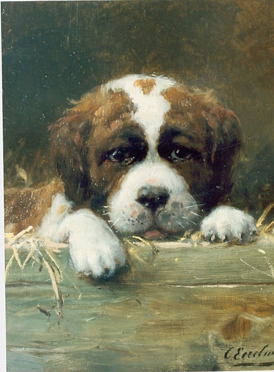 Eerelman O.  | Otto Eerelman, St. Bernhard puppie in a box, Öl auf Holz 27,0 x 21,7 cm, signed l.r.