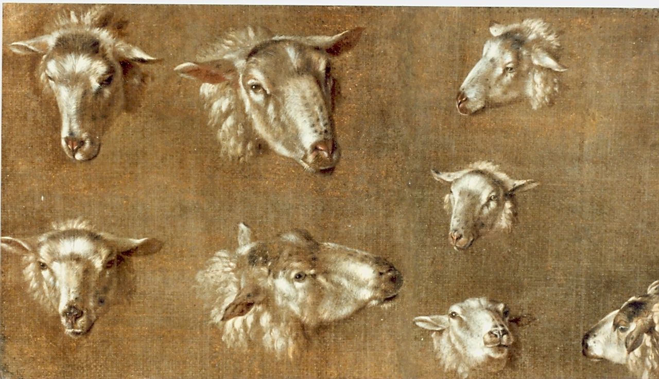 Plas P.  | Pieter Plas, Study of sheep, Öl auf Leinwand