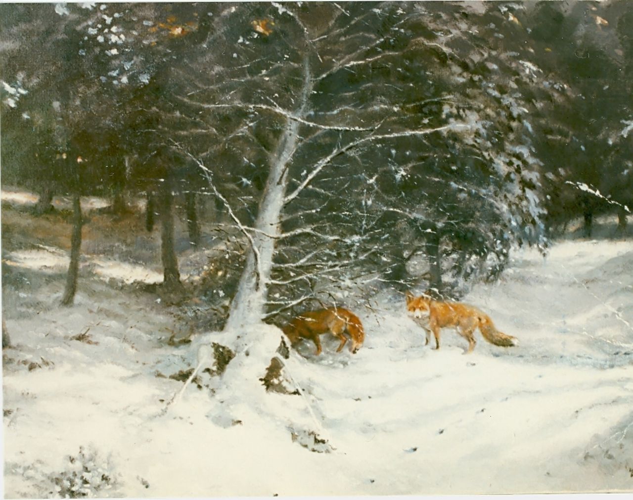 Poortvliet R.  | Rien Poortvliet, Foxes in a snow-covered landscape, Öl auf Leinwand 60,5 x 80,0 cm, signed l.r.