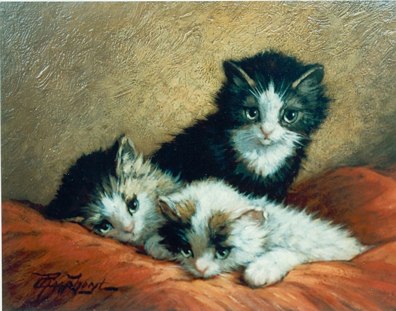 Raaphorst C.  | Cornelis Raaphorst, Three kittens, Öl auf Holz 18,4 x 24,4 cm, signed l.l.