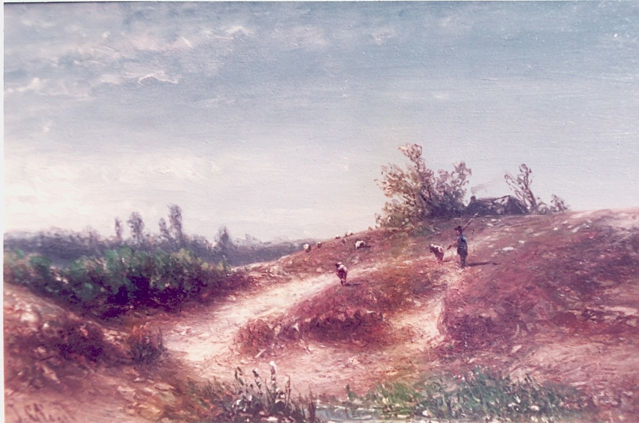Vogel J.G.  | Johannes Gijsbert Vogel, Heath landscape, Öl auf Holz 20,7 x 32,0 cm, signed l.l.