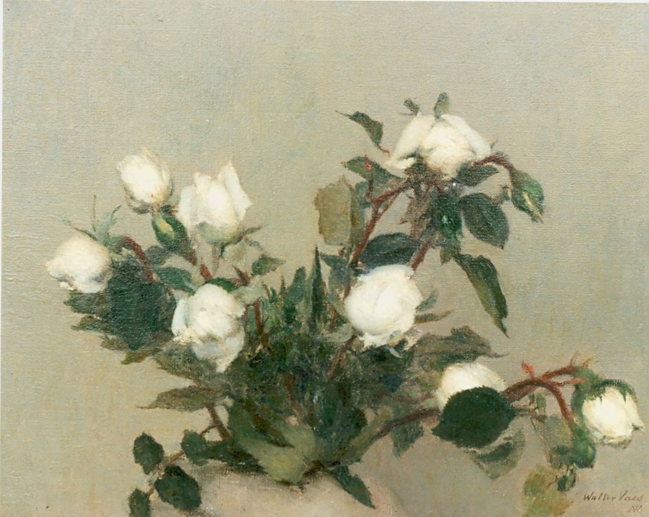 Vaes W.  | Walter Vaes, White roses, Öl auf Leinwand 31,0 x 40,0 cm, signed l.r.
