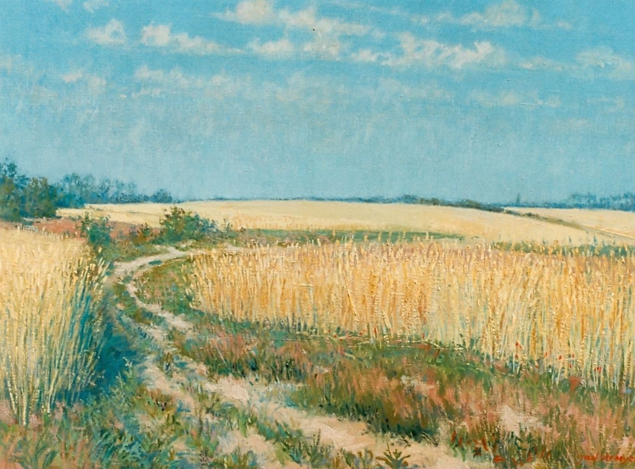 Verheijen J.H.  | Jan Hendrik Verheijen, Cornfield, Öl auf Leinwand 50,0 x 70,0 cm, signed l.r.