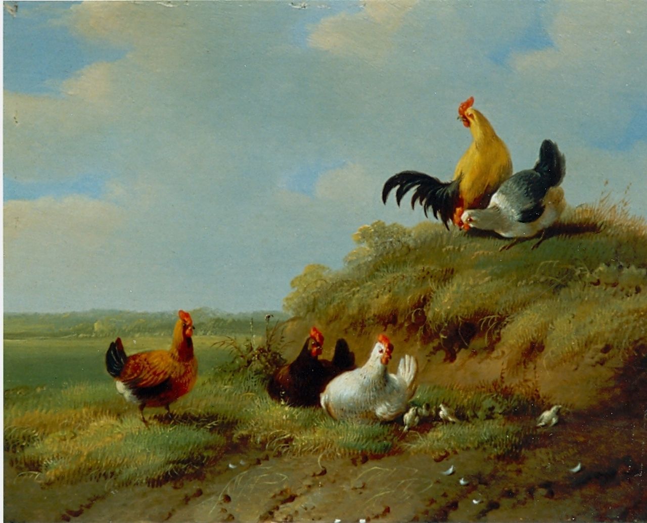 Verhoesen A.  | Albertus Verhoesen, Chickens and rooster, Öl auf Holz 14,0 x 13,6 cm, signed l.r.