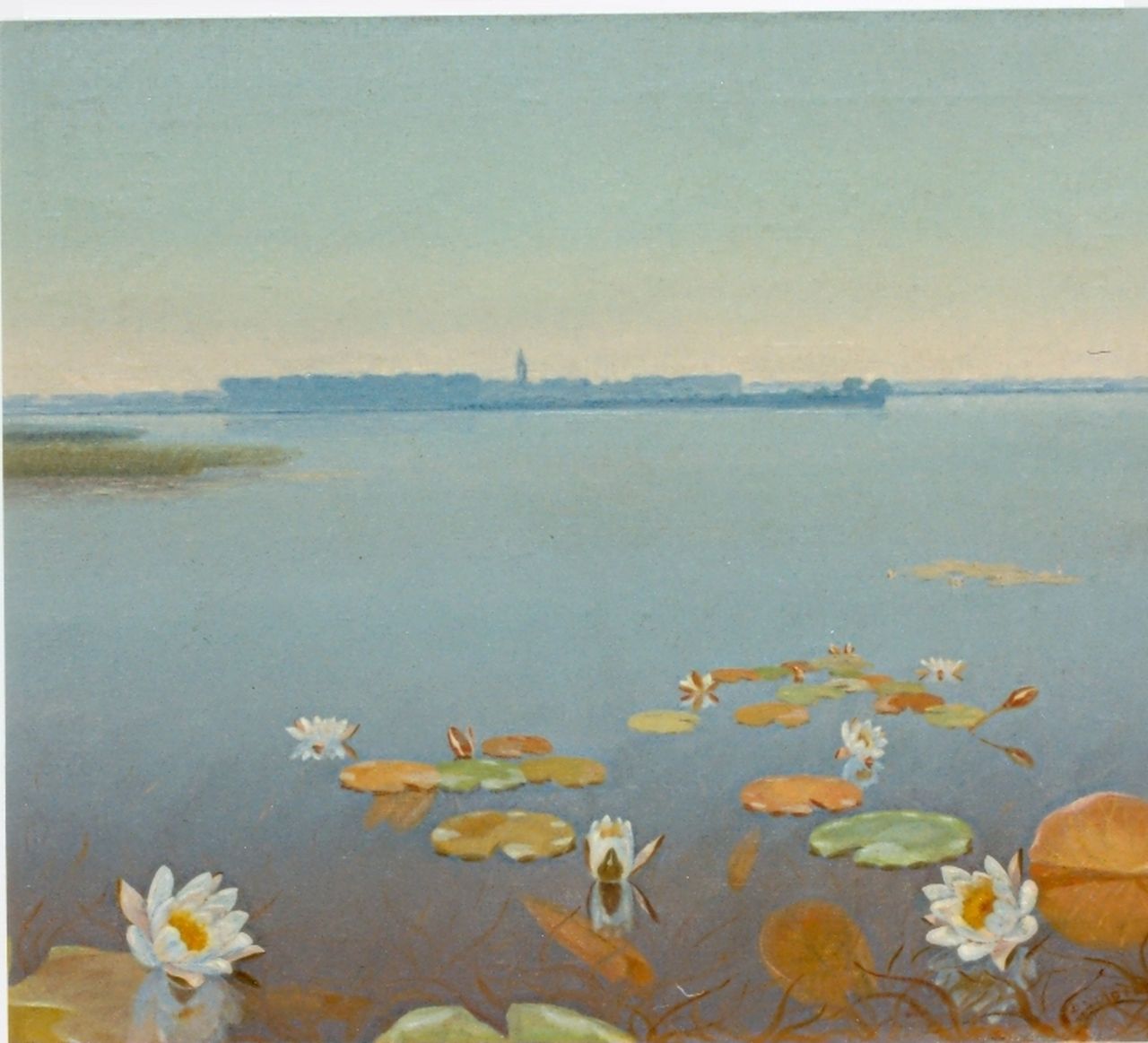 Smorenberg D.  | Dirk Smorenberg, Water lilies, Loosdrecht, Öl auf Leinwand 50,5 x 60,3 cm, signed l.r.