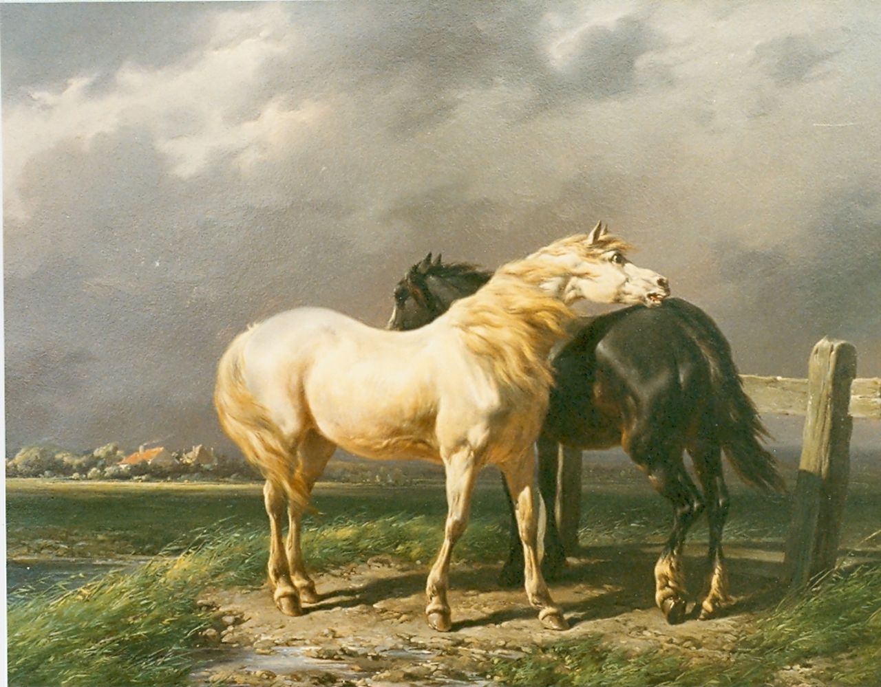 Verschuur W.  | Wouterus Verschuur, Horses in a meadow, Öl auf Holz 28,0 x 36,0 cm, signed l.r.