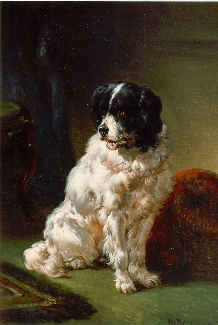 Verschuur W.  | Wouterus Verschuur, The painter's dog, Öl auf Holz 20,0 x 15,0 cm, signed l.r.