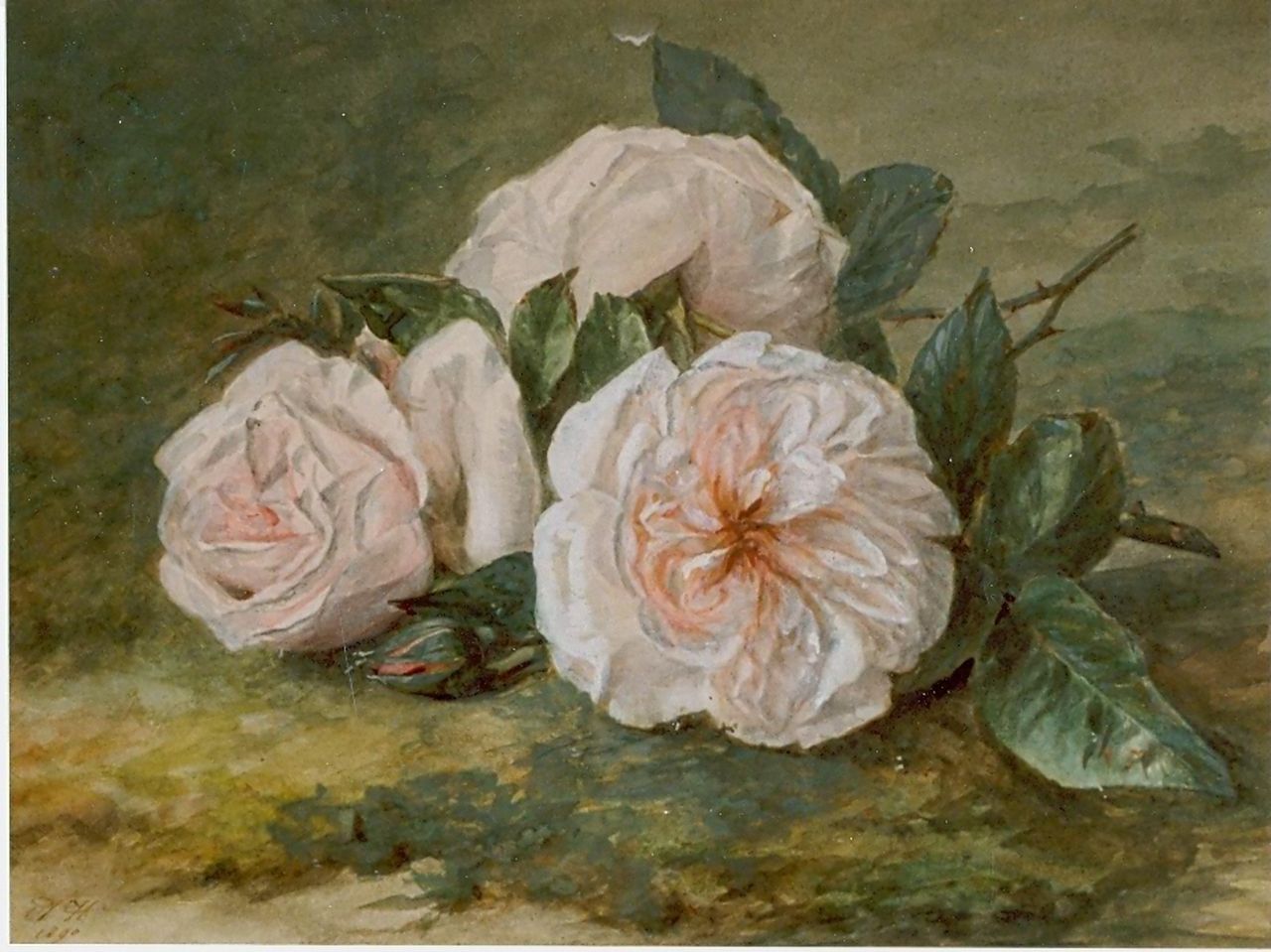 Haanen A.J.  | Adriana Johanna Haanen, A twig of pink roses, Aquarell auf Papier 21,0 x 25,6 cm, signed l.l und dated 1890