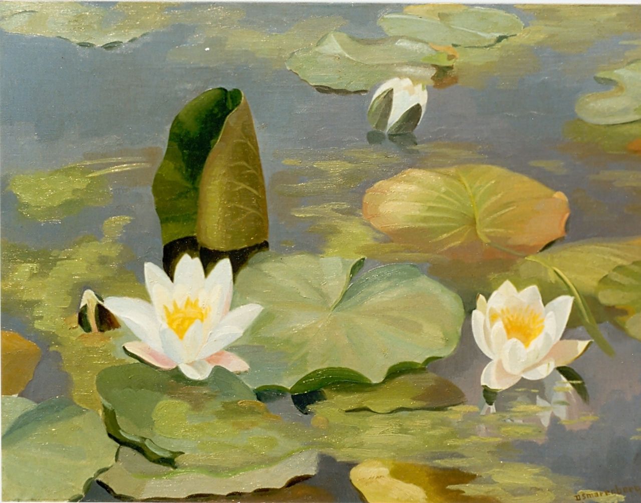 Smorenberg D.  | Dirk Smorenberg, Water lilies, Öl auf Leinwand 45,0 x 60,0 cm, signed l.r.