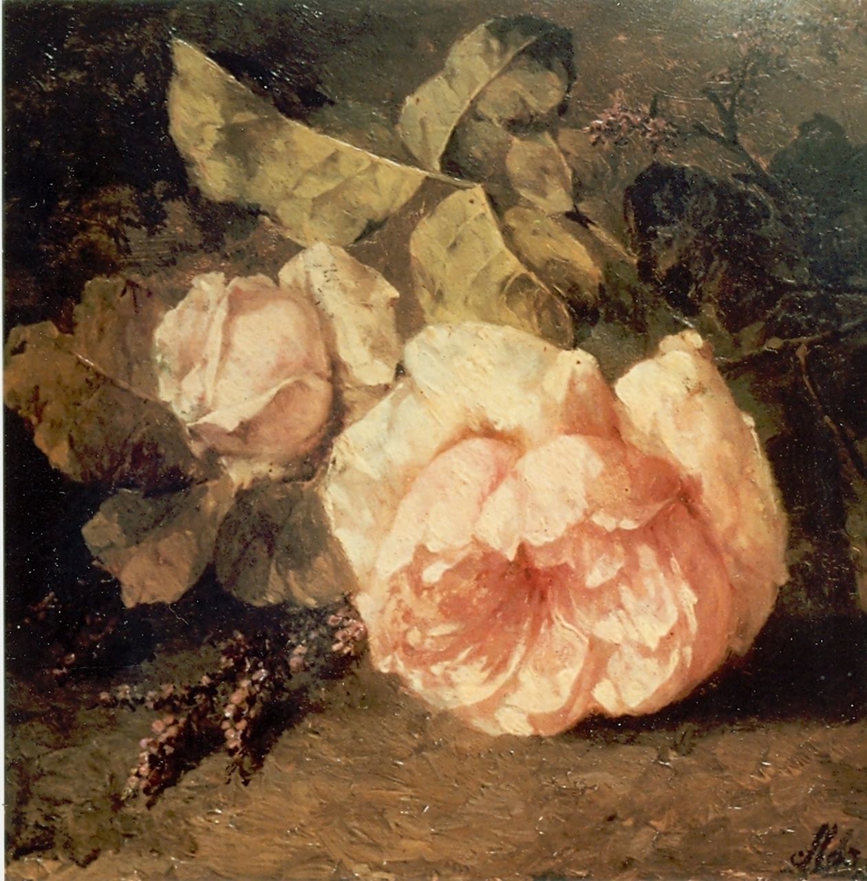 Roosenboom M.C.J.W.H.  | 'Margaretha' Cornelia Johanna Wilhelmina Henriëtta Roosenboom, Pink roses, Öl auf Holz 22,0 x 30,0 cm, signed l.r.