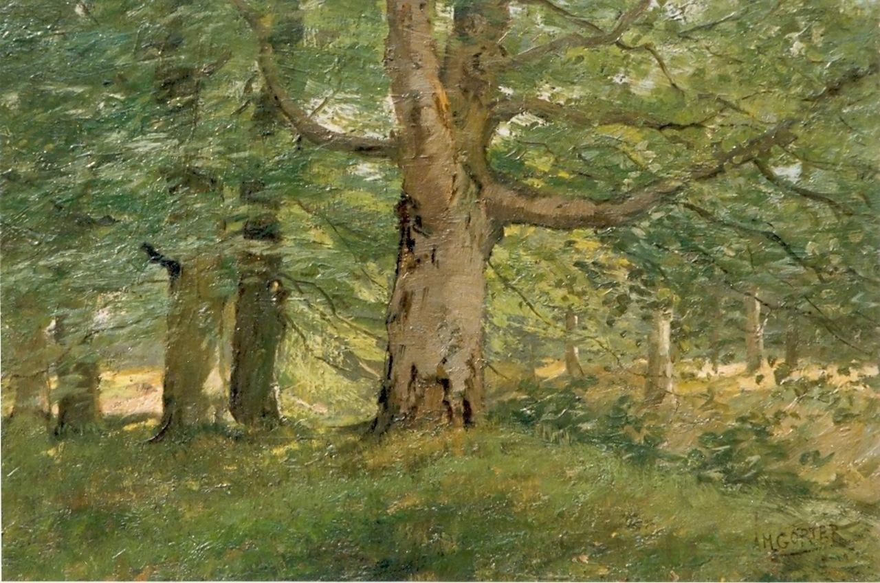 Gorter A.M.  | 'Arnold' Marc Gorter, Forest, Öl auf Leinwand 43,5 x 62,0 cm, signed l.r.