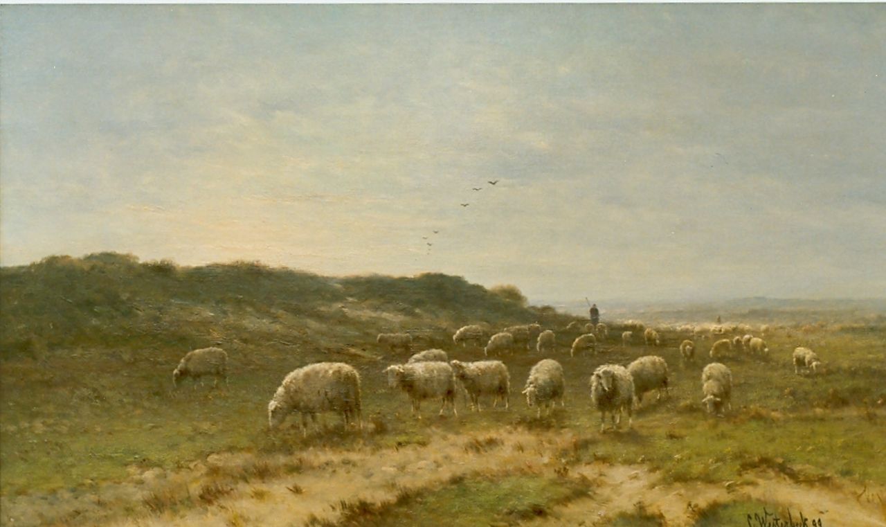 Westerbeek C.  | Cornelis Westerbeek, A shepherd and flock, Öl auf Leinwand 60,0 x 100,0 cm, signed l.r. und dated '99