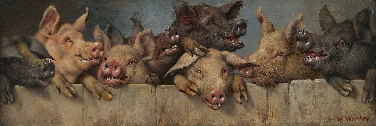 Weekes H.W.  | Herbert 'William' Weekes, Pigs in a sty, Öl auf Malereifaser 13,0 x 38,1 cm, signed l.r.