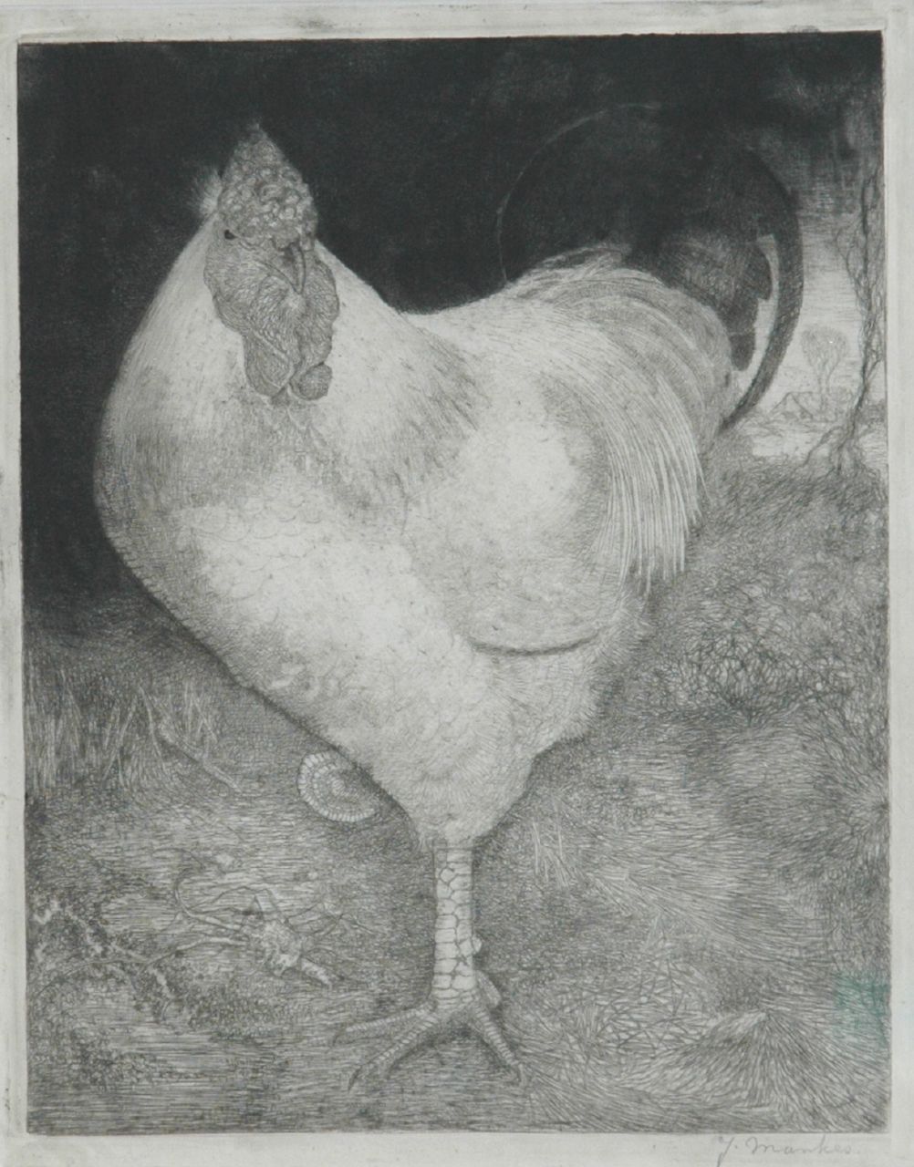 Mankes J.  | Jan Mankes, A rooster, Radierung auf Papier 26,0 x 21,0 cm, signed l.r. und painted circa 1917