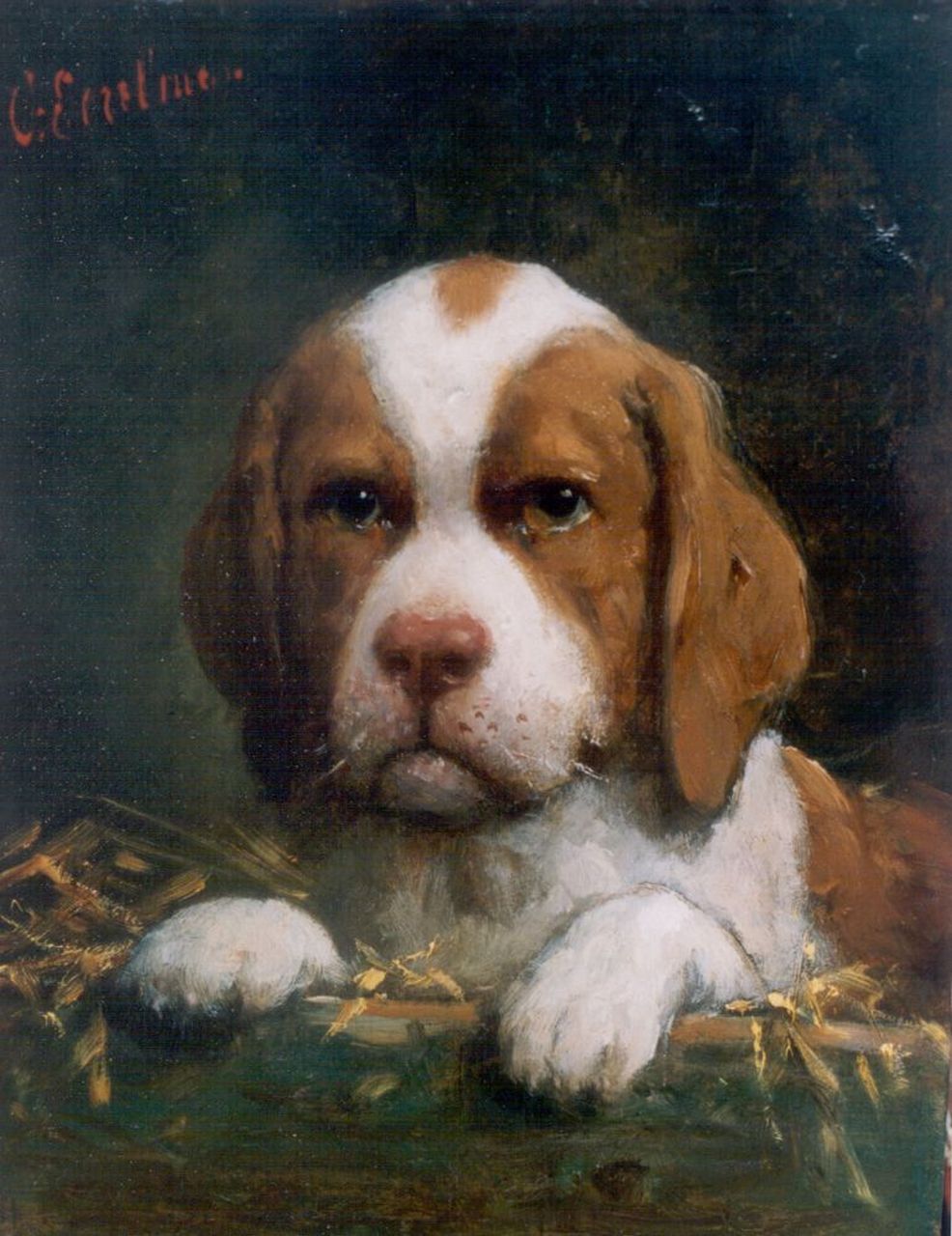 Eerelman O.  | Otto Eerelman, A puppy, Öl auf Holz 27,3 x 21,2 cm, signed u.l.
