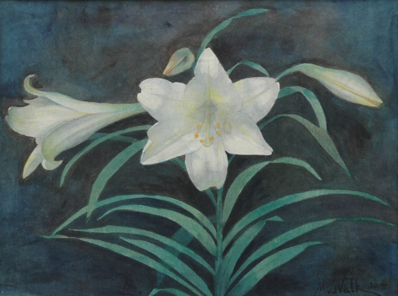 Mauritx Willem van der Valk | White lilly, Bleistift und Aquarell auf Papier, 27,9 x 36,8 cm, signed l.r. und painted '30