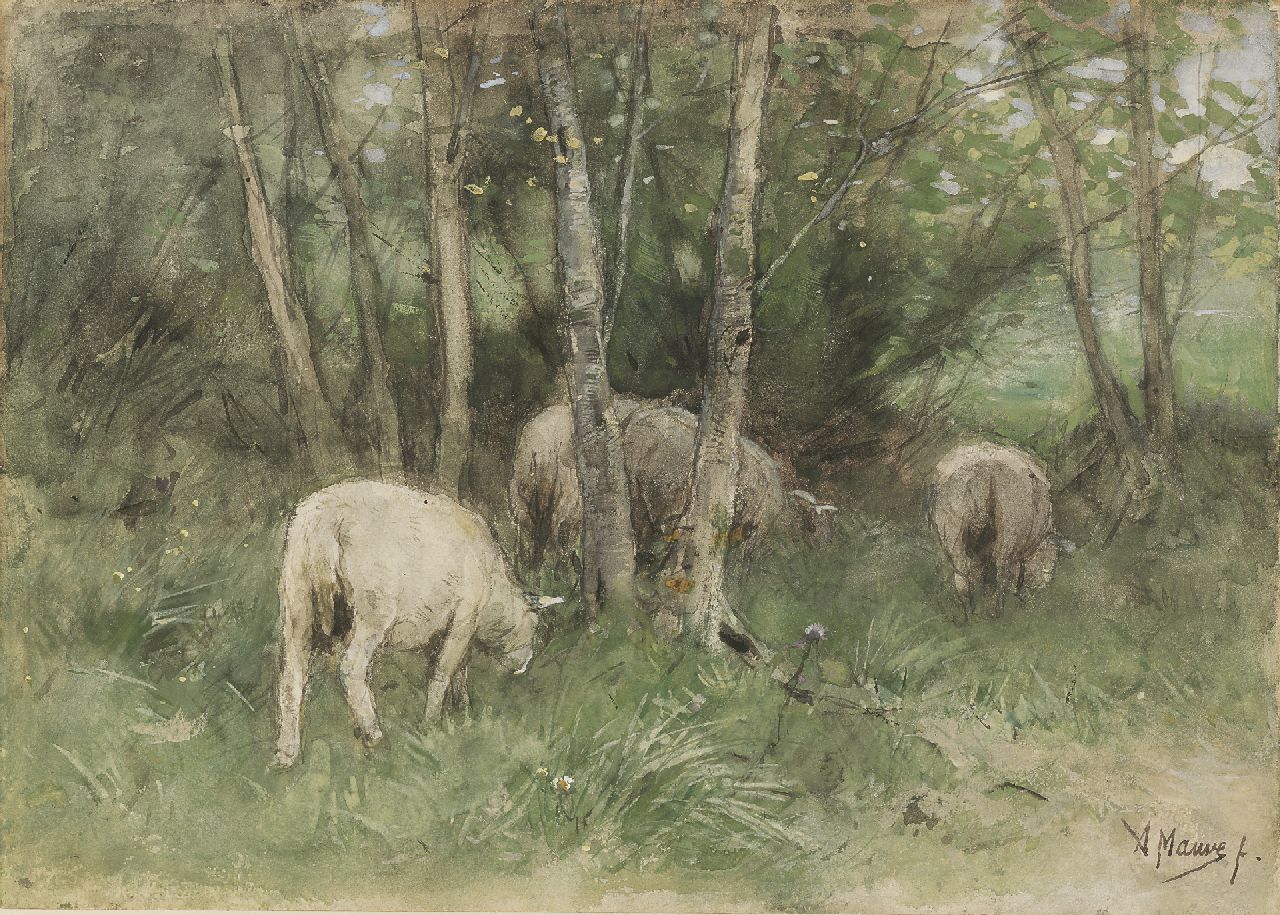 Mauve A.  | Anthonij 'Anton' Mauve, Grazing sheep among birch trees, Bleistift und Aquarell auf Papier auf Holz 25,1 x 35,1 cm, signed l.r.