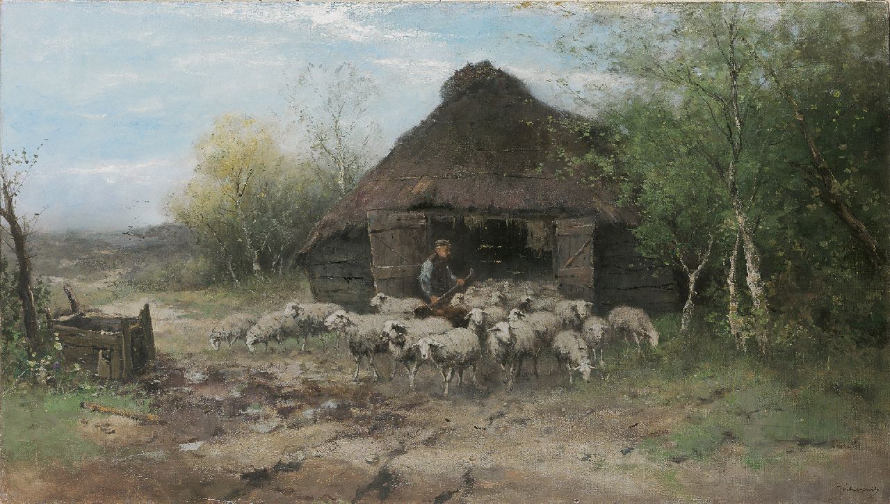 Scherrewitz J.F.C.  | Johan Frederik Cornelis Scherrewitz, Sheep by a pen, Öl auf Leinwand 70,3 x 125,3 cm, signed l.r.