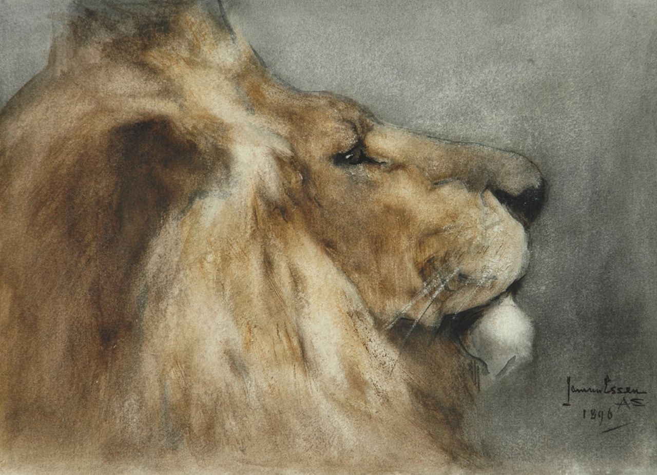 Essen J.C. van | Johannes Cornelis 'Jan' van Essen, Head of a lion, Aquarell auf Papier 20,0 x 27,8 cm, signed l.r. und dated ca. 1896