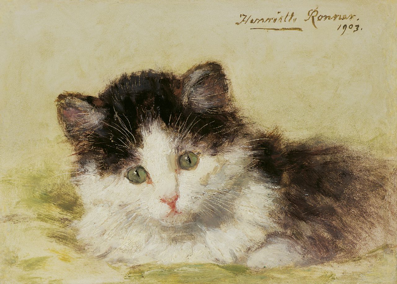 Ronner-Knip H.  | Henriette Ronner-Knip, A kitten, Öl auf Holz 13,7 x 18,9 cm, signed u.r. und dated 1903