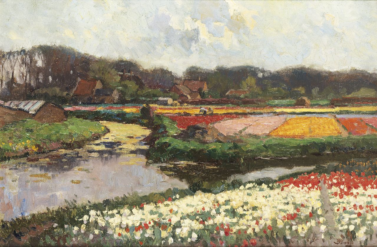 Viegers B.P.  | Bernardus Petrus 'Ben' Viegers, Flowering tulip fields, Öl auf Leinwand 40,0 x 60,2 cm, signed l.r.