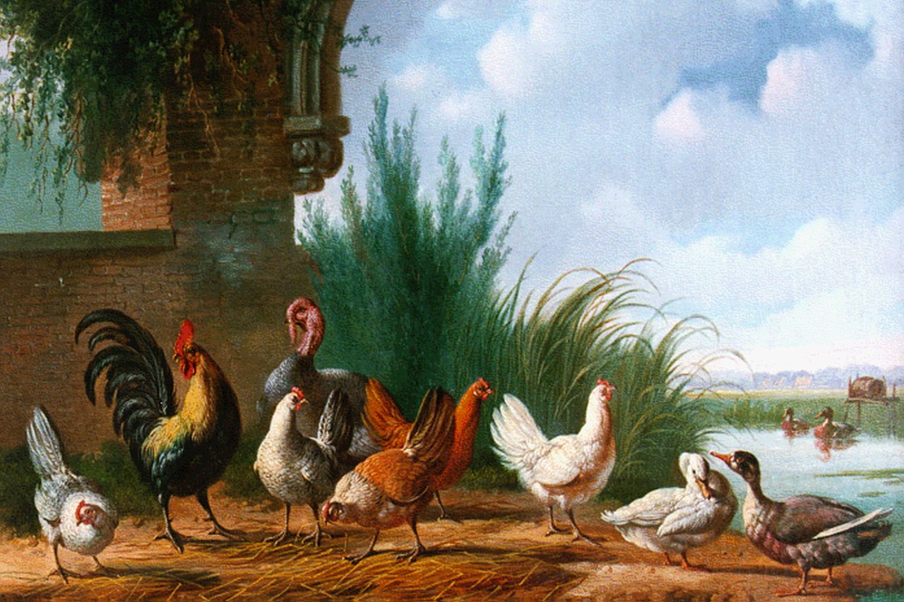 Verhoesen A.  | Albertus Verhoesen, Poultry on the riverbank, Öl auf Leinwand 34,3 x 46,0 cm, signed l.l. und dated 1863