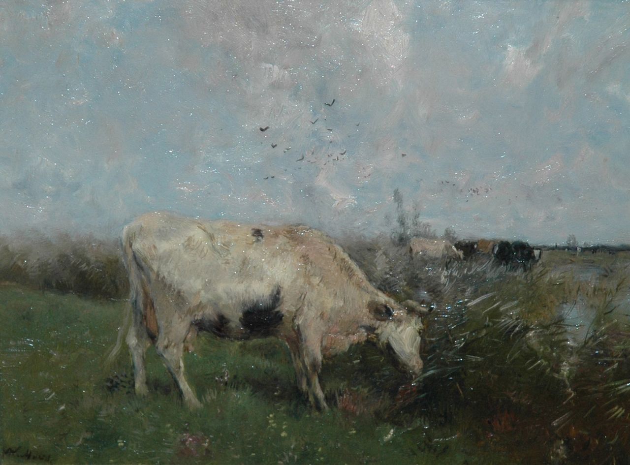 Maris W.  | Willem Maris, Cow at pasture, Öl auf Holz 21,6 x 28,2 cm, signed l.l.