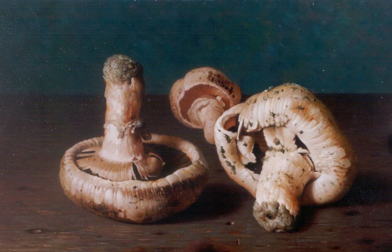 Bubarnik G.  | Gyula Bubarnik, Mushrooms on a stone ledge, Kupfer 18,0 x 23,9 cm, signed l.r.