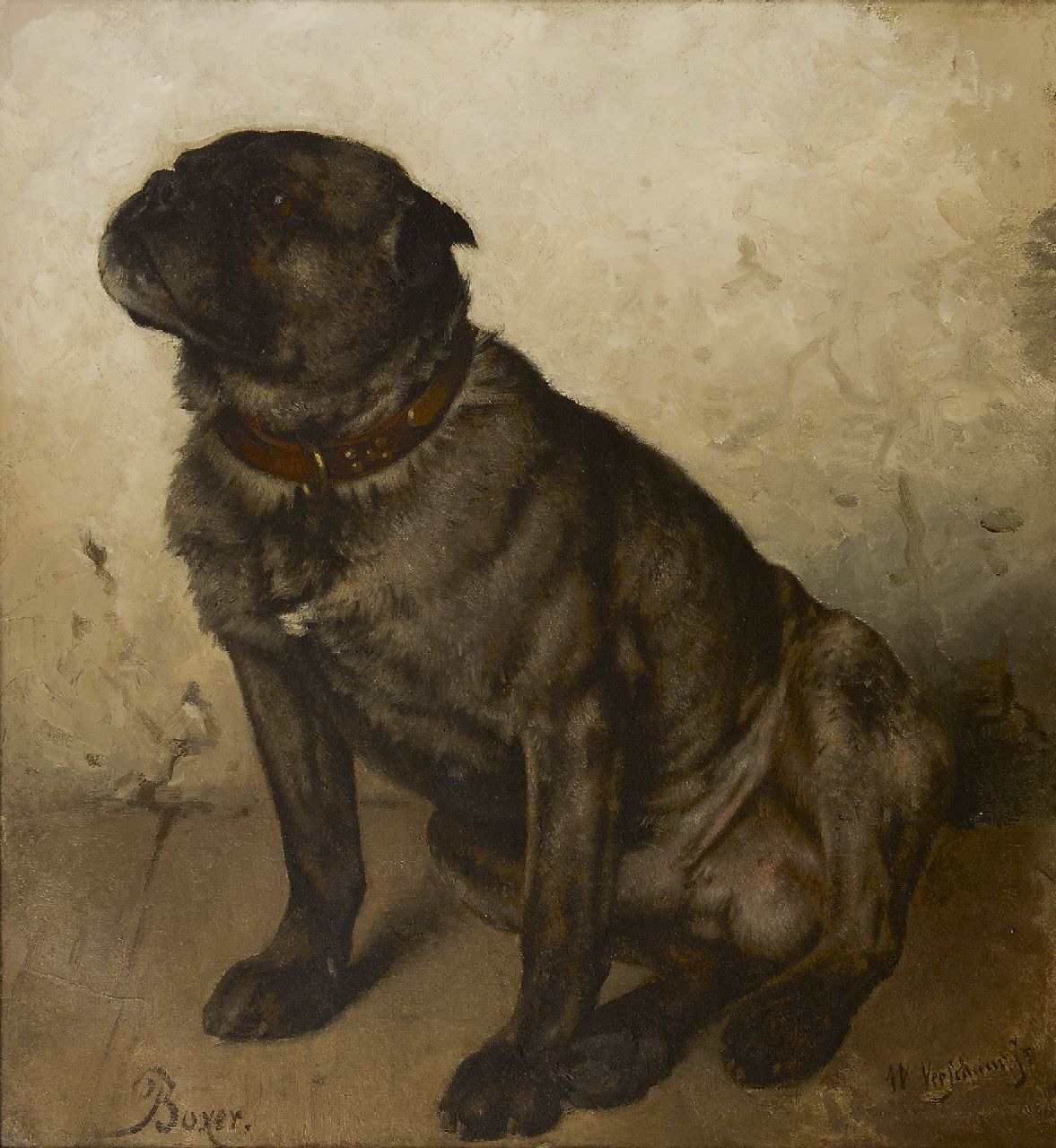 Wouter Verschuur jr. | Boxer, Öl auf Leinwand, 53,4 x 49,2 cm, Unterzeichnet u.r.