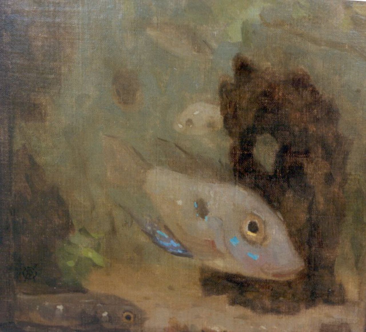 Dijsselhof G.W.  | Gerrit Willem Dijsselhof, Globefish, Öl auf Leinwand auf Holz 17,6 x 18,5 cm, signed l.l.