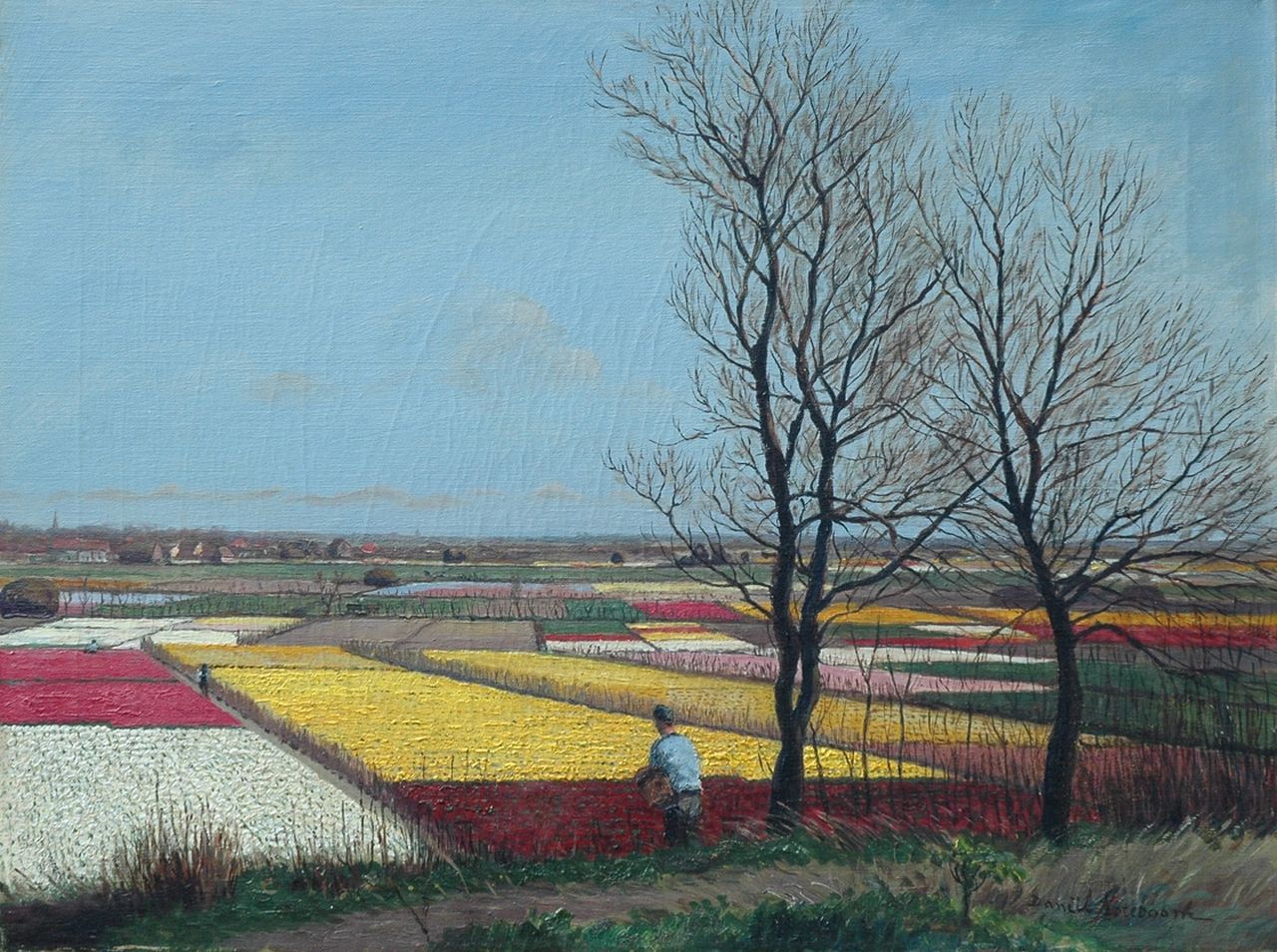Noteboom D.  | Daniël Noteboom, Tulip fields near Noordwijk, Öl auf Leinwand 45,9 x 60,8 cm, signed l.r.