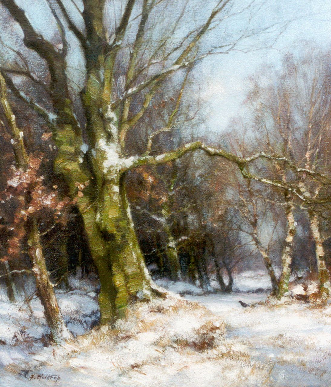 Holtrup J.  | Jan Holtrup, Winter in the Wolfheze forest, Öl auf Leinwand 40,4 x 35,7 cm, signed l.l.