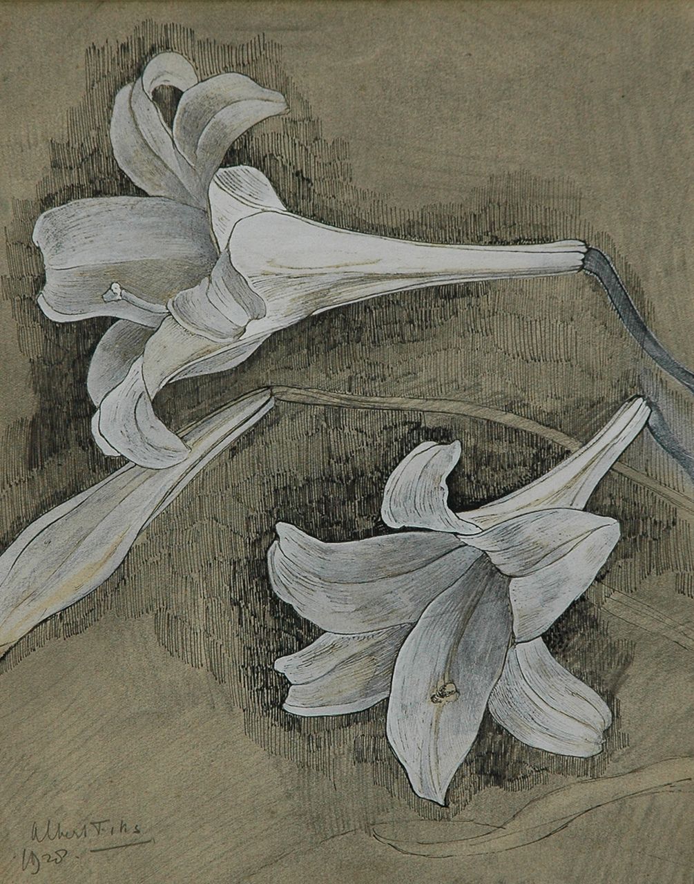 Fiks A.  | Albert Fiks, White lily flowers, Feder, Tinte und Gouache auf Papier 29,5 x 23,4 cm, signed l.l. und dated 1928