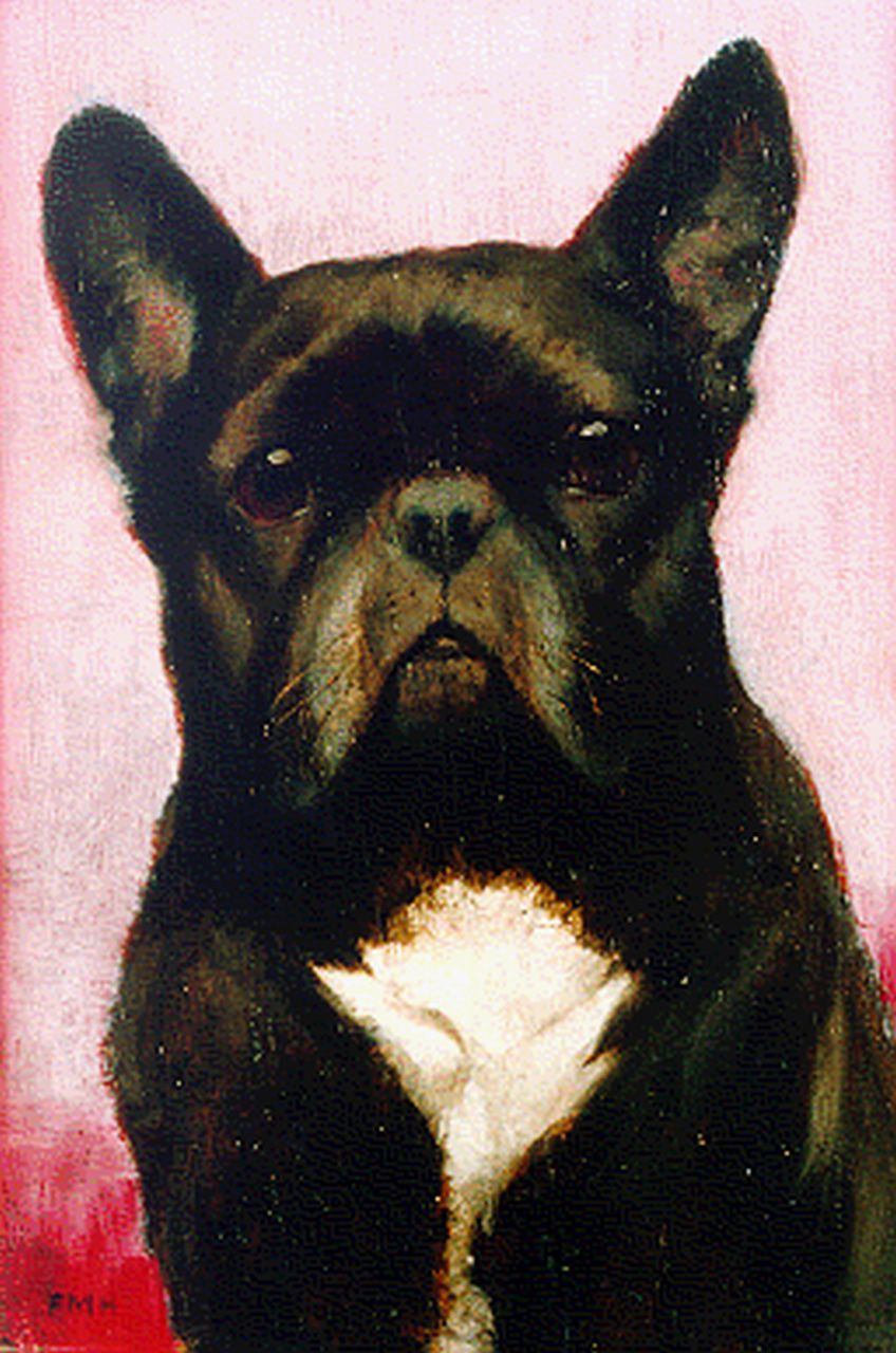 Hollams F.M.  | Francis Mabel Hollams, A French Bulldog, Öl auf Holz 24,3 x 16,2 cm, signed l.l. with initials