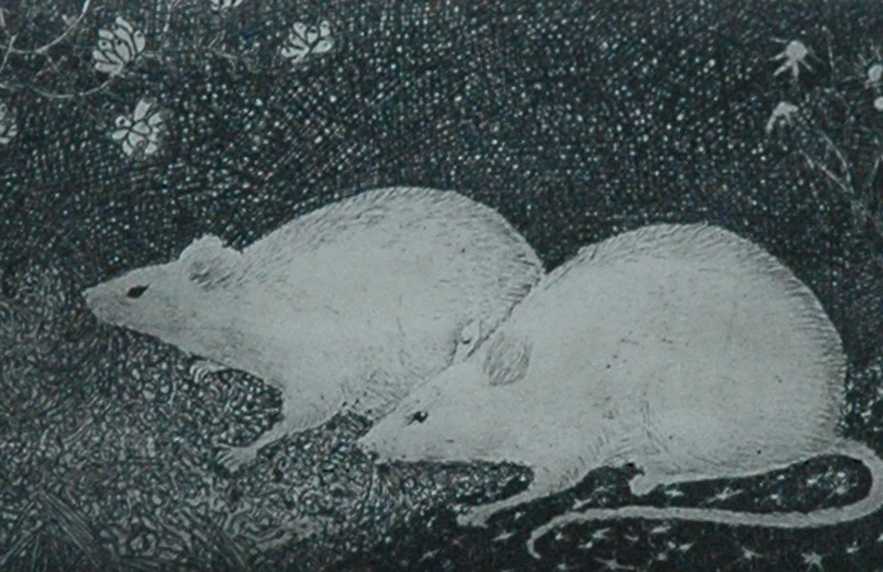 Mankes J.  | Jan Mankes, Two white mice, Kupferstich auf Papier 6,9 x 10,0 cm, signed l.r. (in pencil) und dated 1916