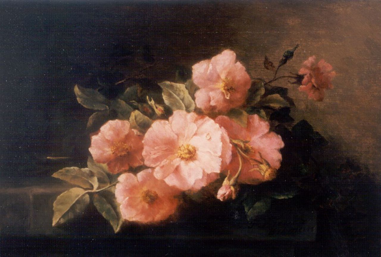 Breuer-Wikman F.  | Frederika Breuer-Wikman, Roses on a stone ledge, Öl auf Leinwand 30,0 x 43,6 cm, signed l.r.