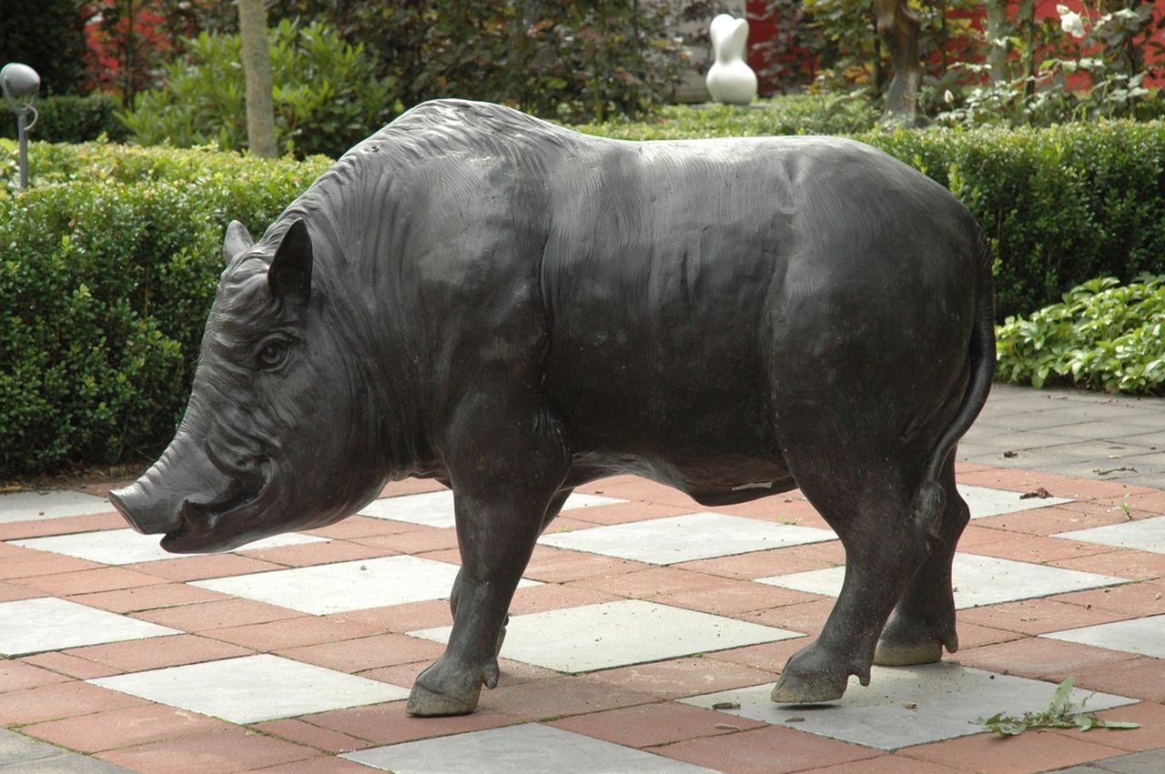 Onbekend   | Onbekend, A wild boar, Bronze 76,0 x 37,0 cm